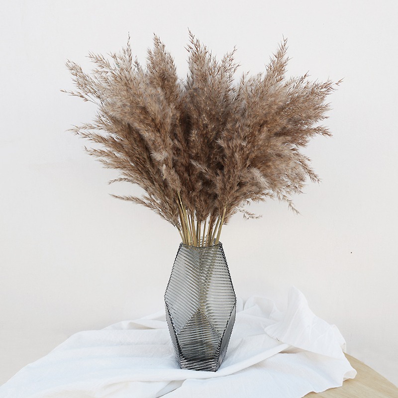 Dried Flower Bouquet - Lot de 10 roseaux naturels colorés