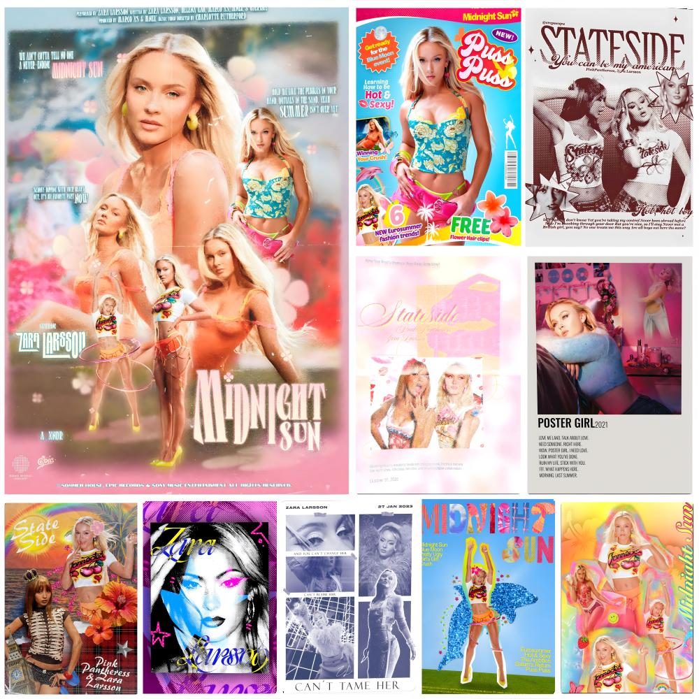 Home Decor Za - Affiche Singer Z-Zara L-Larsson, art HD,