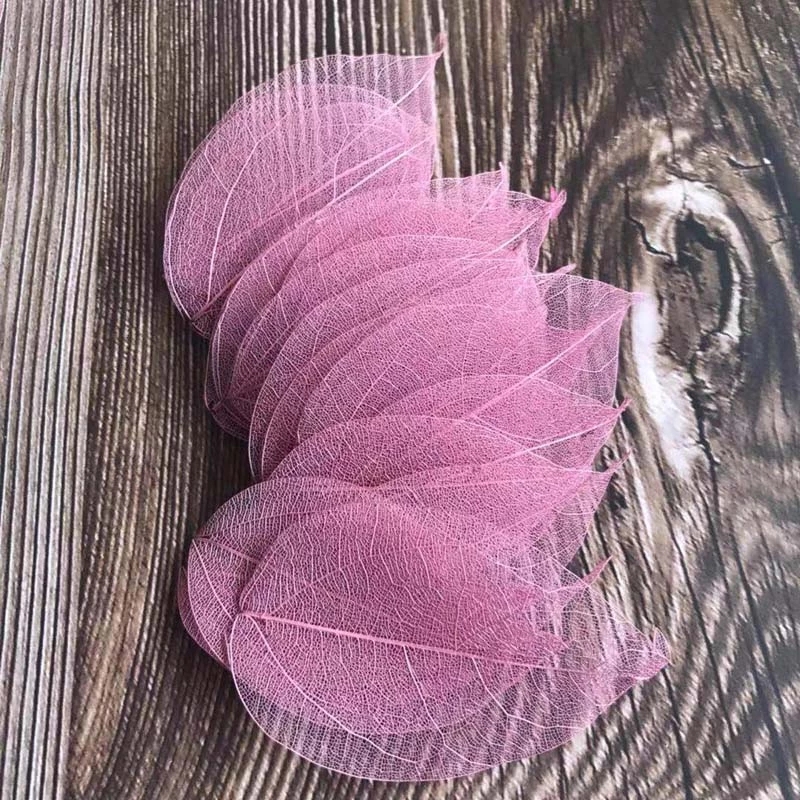 5 ~ 9CM * 2 ~ 3.5CM, 100 pièce - Dried Flower Bouquet avis et prix