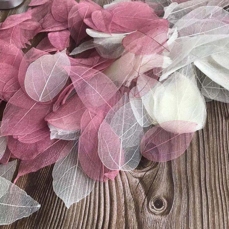 5 ~ 9CM * 2 ~ 3.5CM, 100 pièce - Dried Flower Bouquet avis et prix