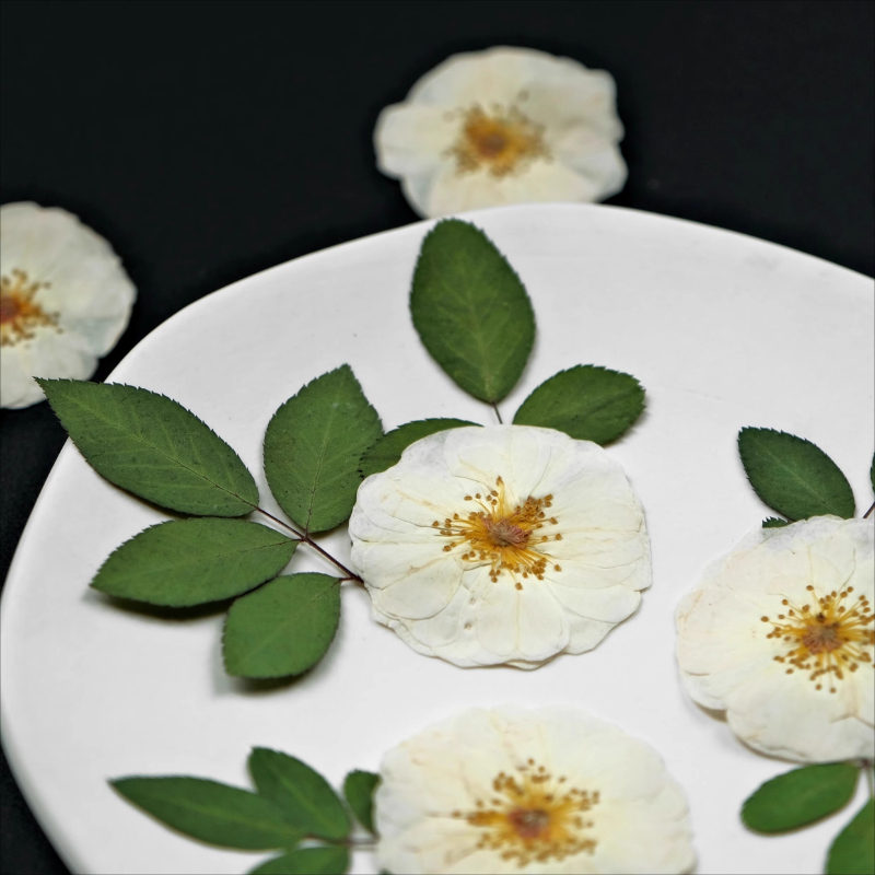 Fleurs pressées de roses blanc - Dried Flower Bouquet avis et prix