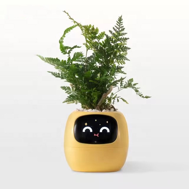 YY Wifi Ai Planter : Rappel d' - Home Decor Ai avis et prix