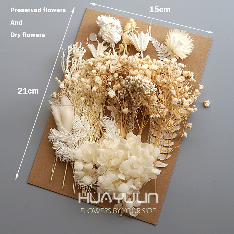 1 paquet de plantes artificiel - Dried Flower Bouquet avis et prix