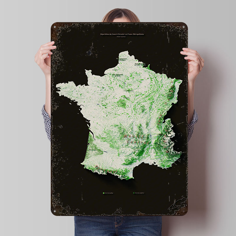 Massifs Forestiers Fran? ?ais  - Home Decor Ai avis et prix